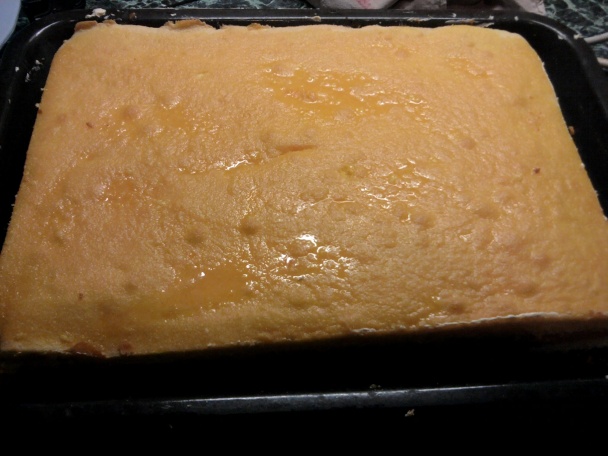 Sunquickové rezy (fotorecept) - obrázok 11