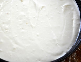 Čučoriedková tvarohová studená torta à la cheesecake (fotorecept) - obrázok 6