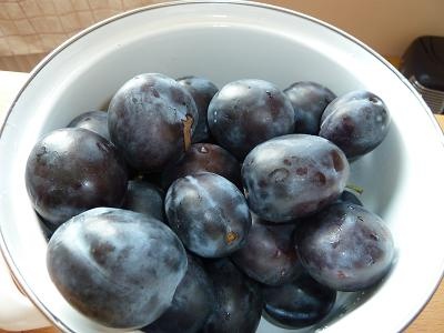 Plnené šúľance a slivkové knedlíčky - obrázok 1