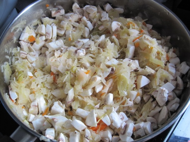 Poľské lazanki ako ich robím ja - obrázok 3