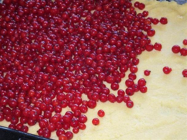 Super ríbezľový koláčik - obrázok 4