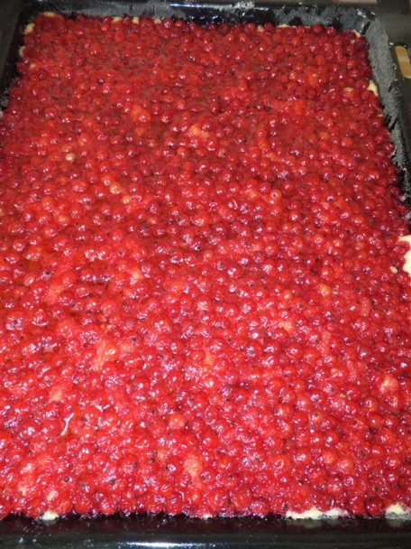 Super ríbezľový koláčik - obrázok 6