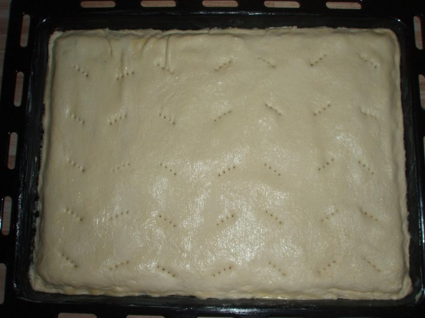 Bryndzový koláč - obrázok 5