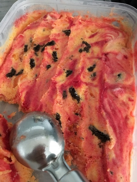 Marhuľovo-malinová zmrzlina - obrázok 4