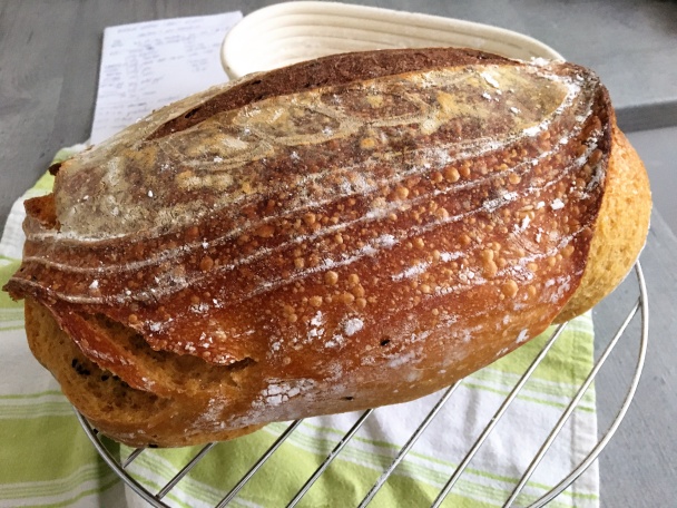 Kváskový chlebík s batatom a čiernym sezamom - obrázok 4