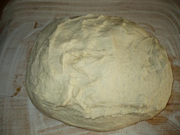 Zemiakové posúchy (fotorecept) - obrázok 2