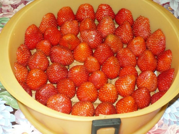 Nepečená želé torta s ovocím (fotorecept) - obrázok 5