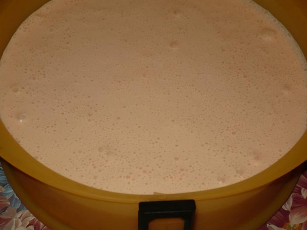 Nepečená želé torta s ovocím (fotorecept) - obrázok 11