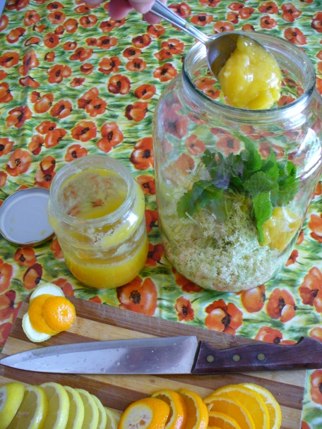 Fantastická bazová limonáda alebo Ako chutí vôňa (fotorecept) - obrázok 6