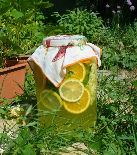 Fantastická bazová limonáda alebo Ako chutí vôňa (fotorecept) - obrázok 8