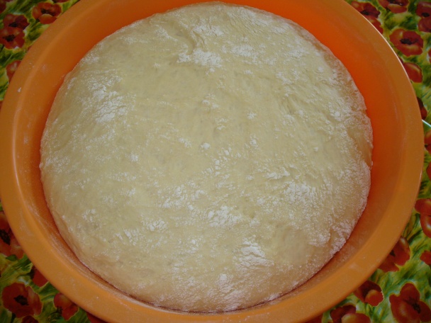 Správové osúchy (fotopostup) - obrázok 1