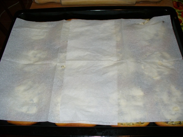 Správové osúchy (fotopostup) - obrázok 9