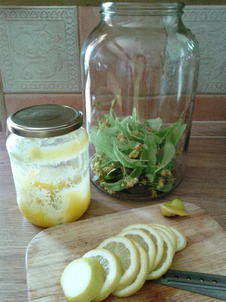 LIPOnáda (fotorecept) - obrázok 2