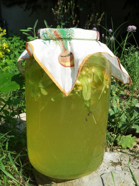 LIPOnáda (fotorecept) - obrázok 3