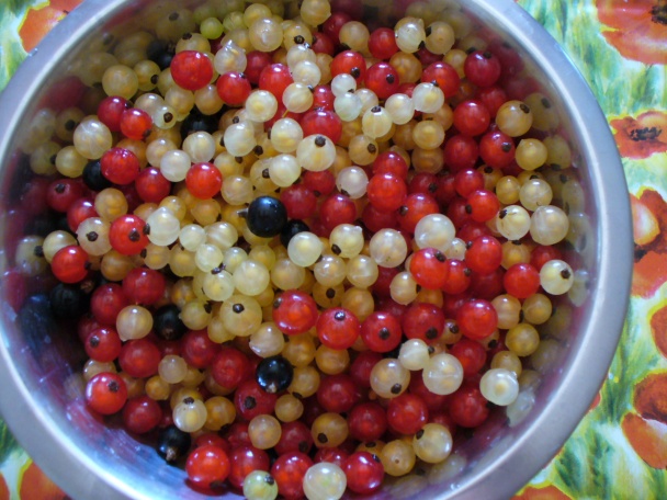 Svieži ríbezľový koláčik s bazovým želé (fotorecept) - obrázok 1