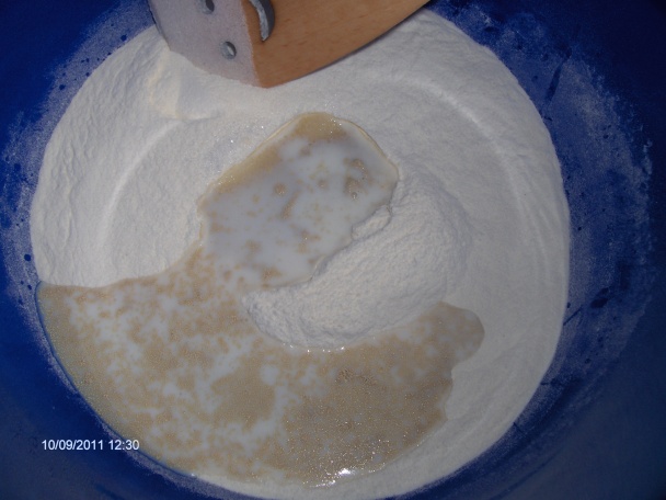 Kysnutý cibuľový koláč (fotorecept) - obrázok 2