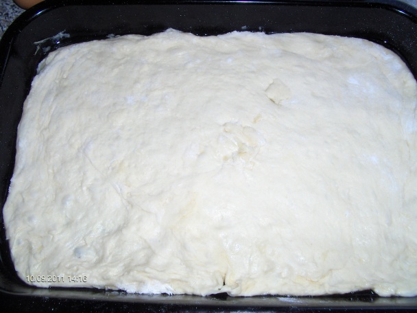 Kysnutý cibuľový koláč (fotorecept) - obrázok 7