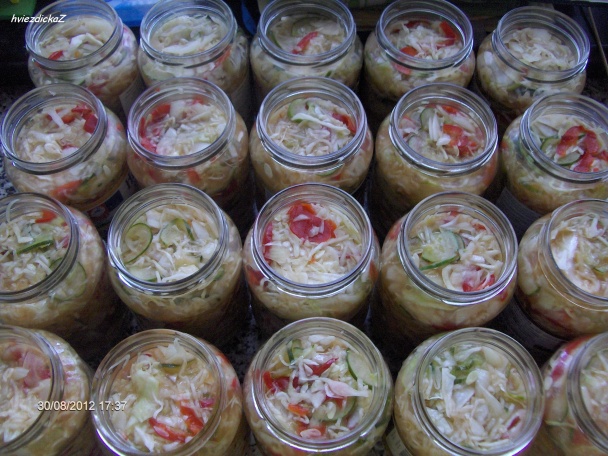 Kapustová čalamáda  - obrázok 1