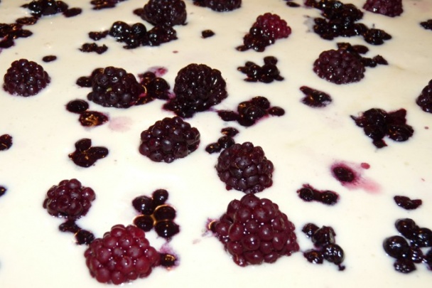 Ovocný koláč (fotorecept) - obrázok 8