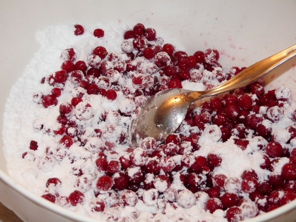 Svieži koláč z čerstvých ríbezlí (fotorecept) - obrázok 7