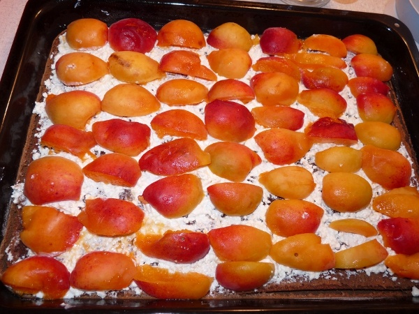 Tvarohový koláč s marhuľami (fotorecept) - obrázok 9