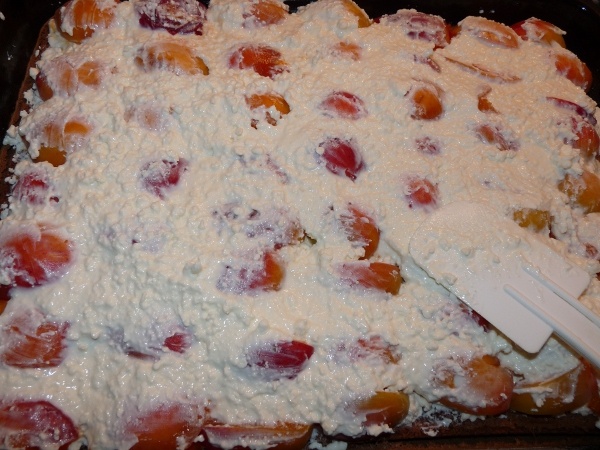 Tvarohový koláč s marhuľami (fotorecept) - obrázok 10