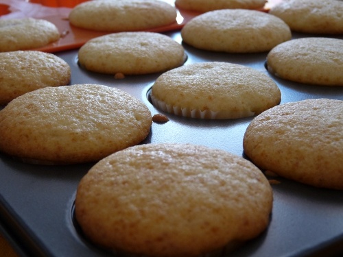 Muffiny s mačacími jazýčkami (fotorecept)  - obrázok 9