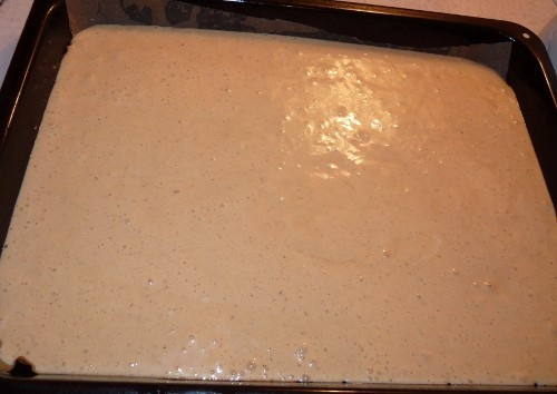 Škoricovník (fotorecept) - obrázok 9