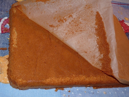 Škoricovník (fotorecept) - obrázok 10