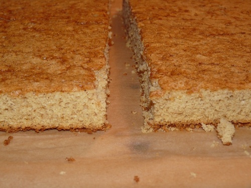 Škoricovník (fotorecept) - obrázok 14