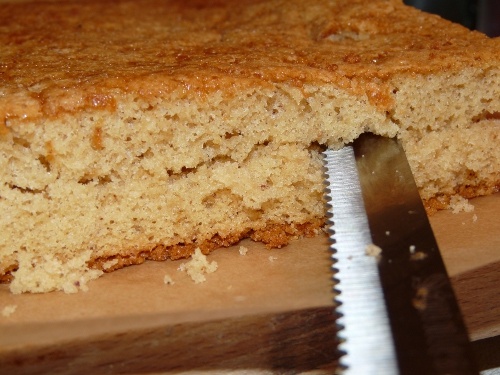 Škoricovník (fotorecept) - obrázok 15