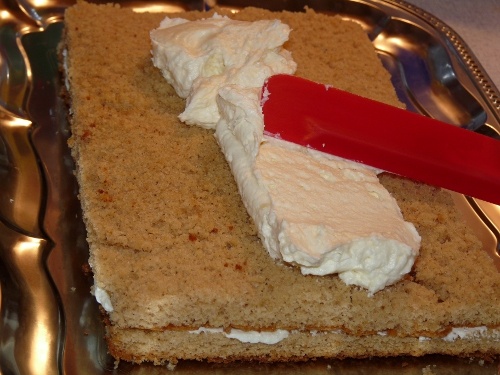 Škoricovník (fotorecept) - obrázok 17