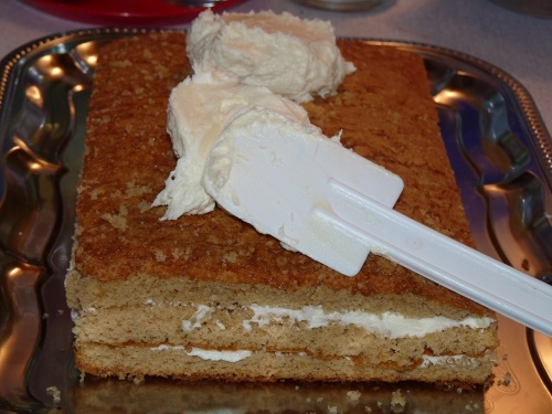 Škoricovník (fotorecept) - obrázok 18