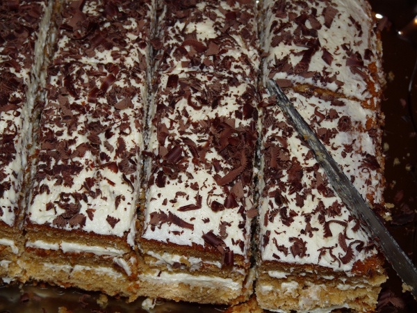 Škoricovník (fotorecept) - obrázok 21