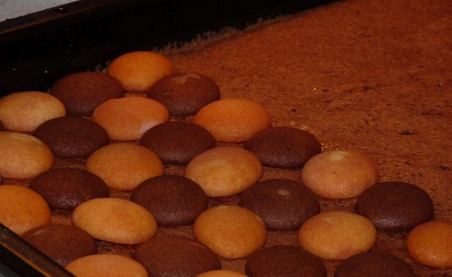 Koláč s lieskovcami (fotorecept) - obrázok 10