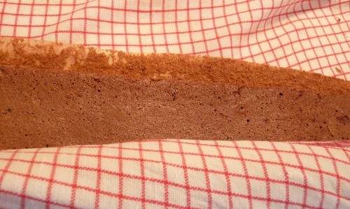 Tvarohový koláč s kivi (fotorecept) - obrázok 9