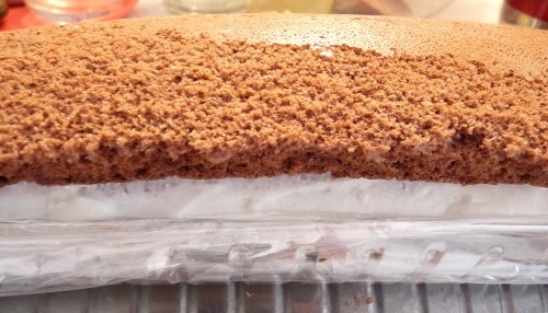 Tvarohový koláč s kivi (fotorecept) - obrázok 14