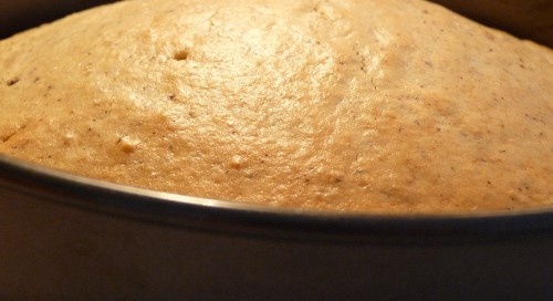 Lieskovcový koláč (fotorecept) - obrázok 4