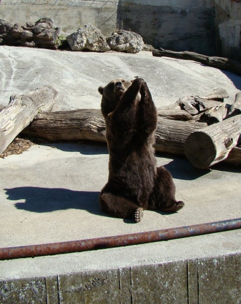 Muffiny s horkou čokoládou (fotorecept) - obrázok 9