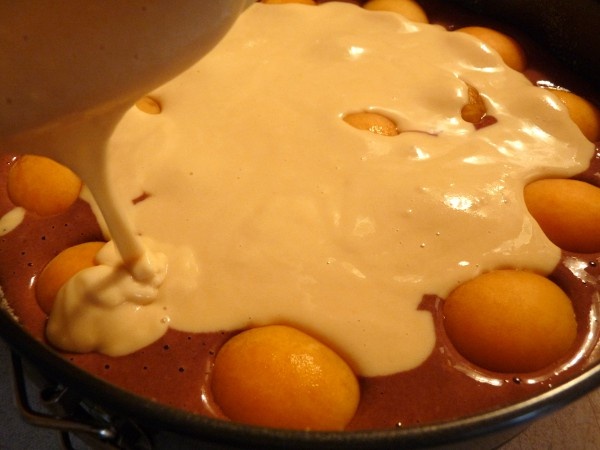 Ovocný koláč v tortovej forme (fotorecept) - obrázok 9