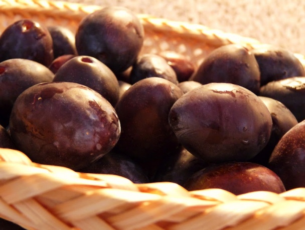 Slivkový koláč a zavárané slivky (fotorecept) - obrázok 9