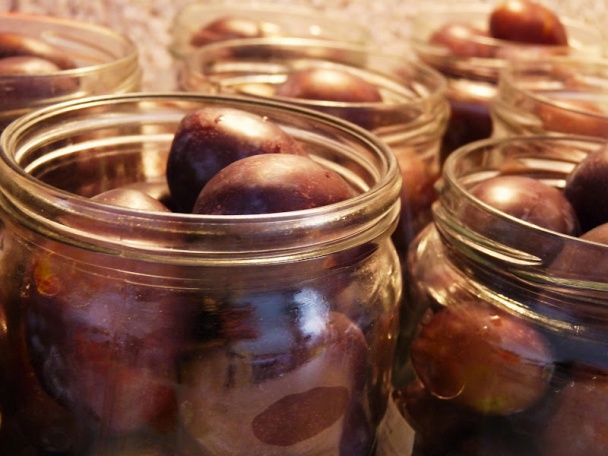 Slivkový koláč a zavárané slivky (fotorecept) - obrázok 10