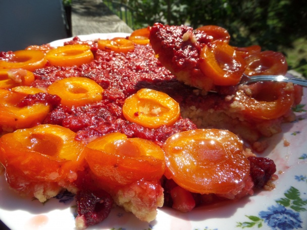 Letná rýchlovka - obrázok 2