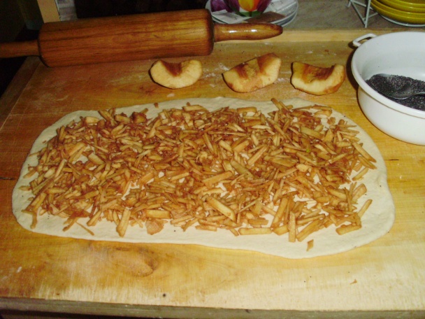 Dulový závin a pizzovníky - obrázok 2