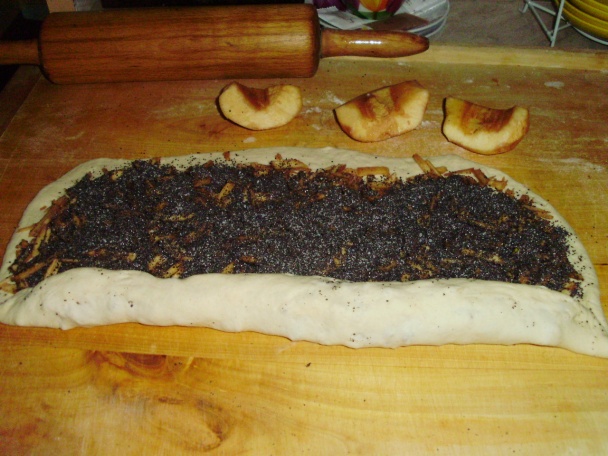 Dulový závin a pizzovníky - obrázok 3