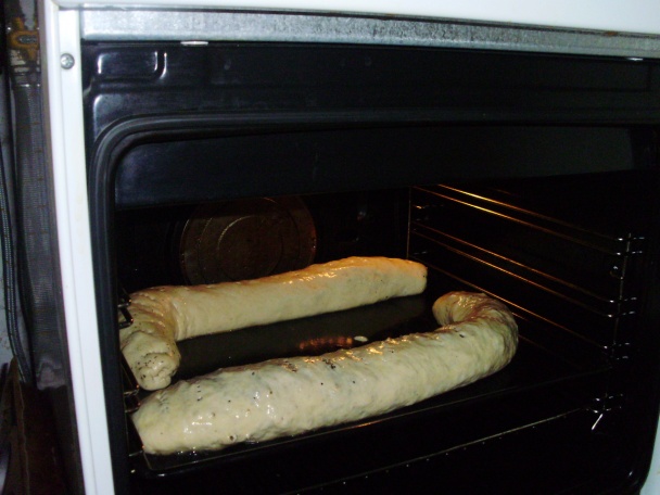 Dulový závin a pizzovníky - obrázok 4