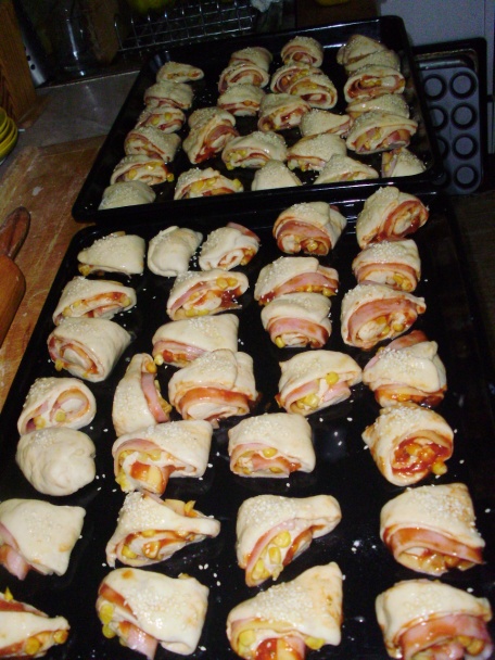 Dulový závin a pizzovníky - obrázok 5