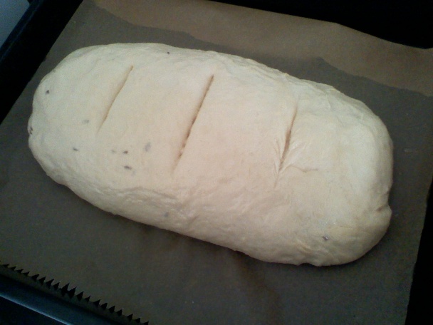 Rascový chlieb (fotorecept) - obrázok 2