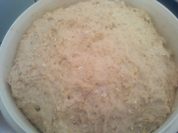 Dalamánky s ovsenými vločkami(fotorecept) - obrázok 1