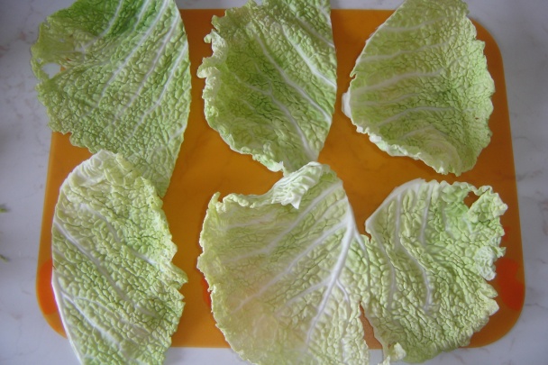 Závitky zo šialene zdravej zeleniny - kelu (fotorecept) - obrázok 1